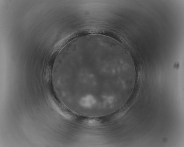 X0000113550165200910021539