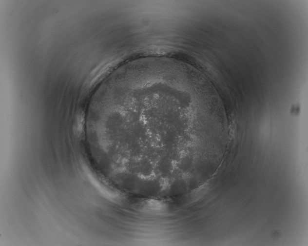 X0000113550166200910021539