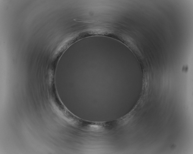 X0000113550167200910021539