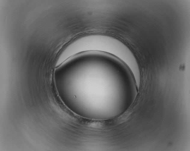 X0000113550168200910021539