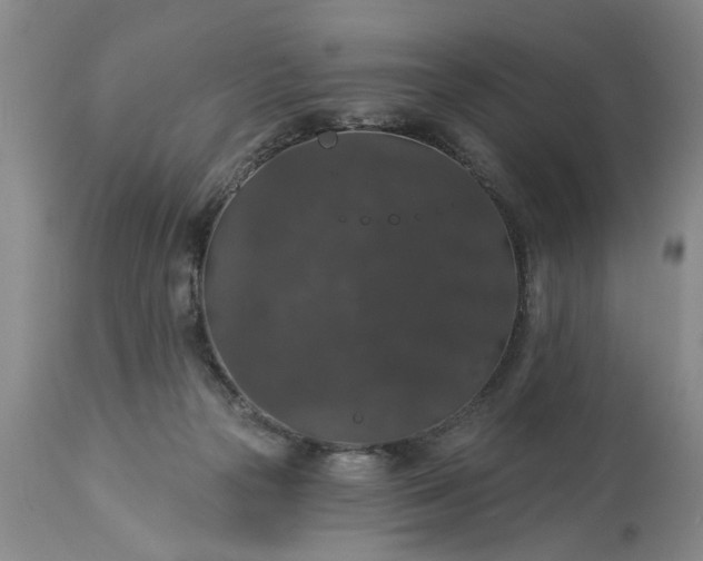 X0000113550169200910021539