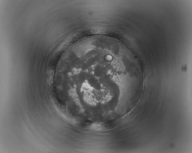 X0000113550171200910021539