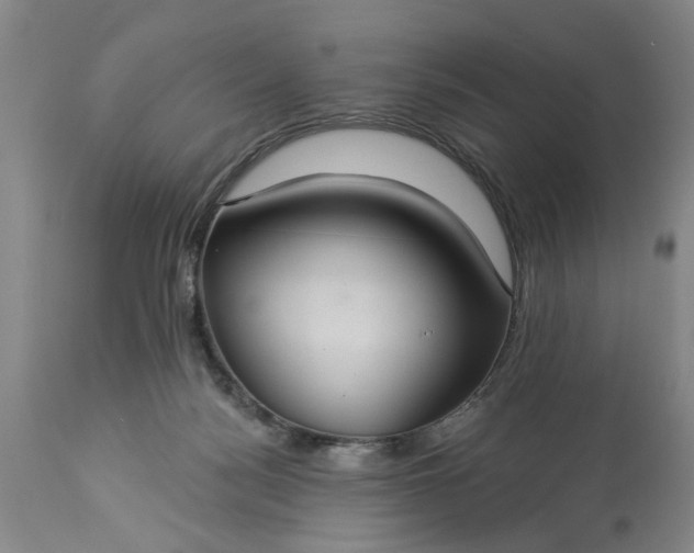 X0000113550172200910021539