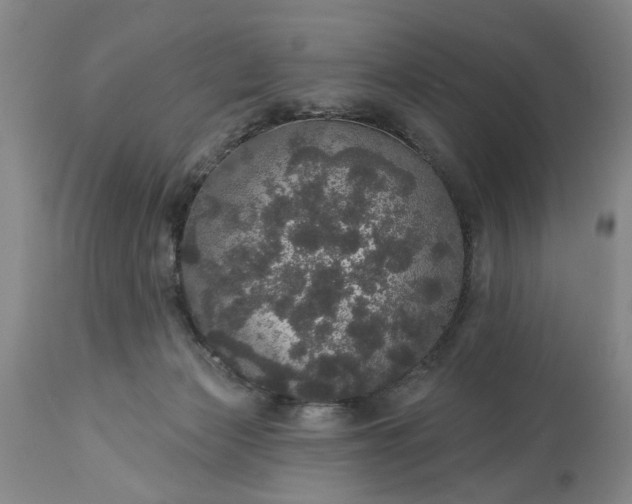 X0000113550173200910021539