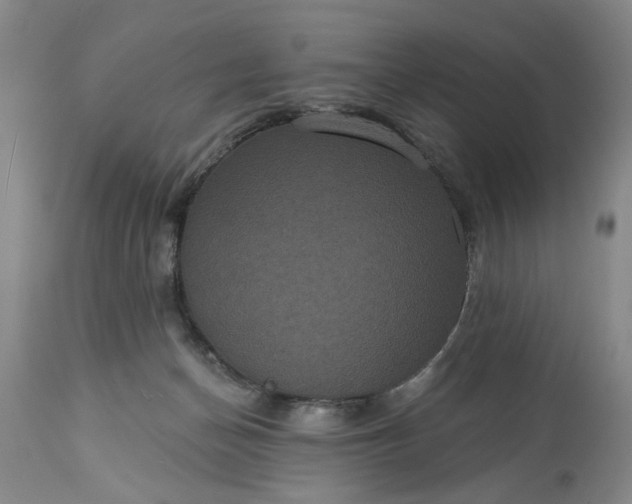 X0000113550174200910021539