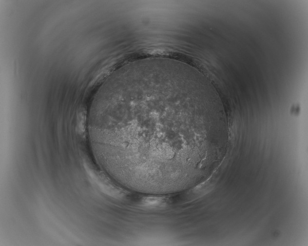 X0000113550175200910021539