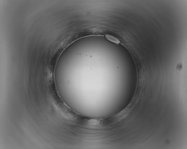 X0000113550176200910021539