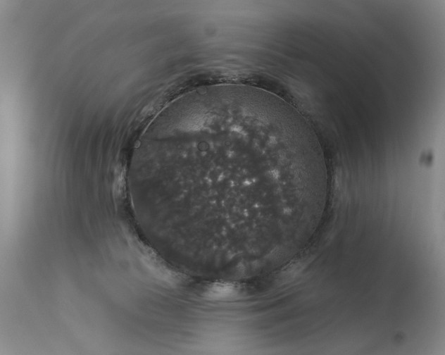 X0000113550177200910021539