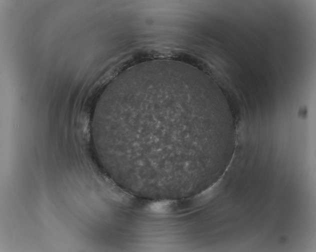 X0000113550178200910021539