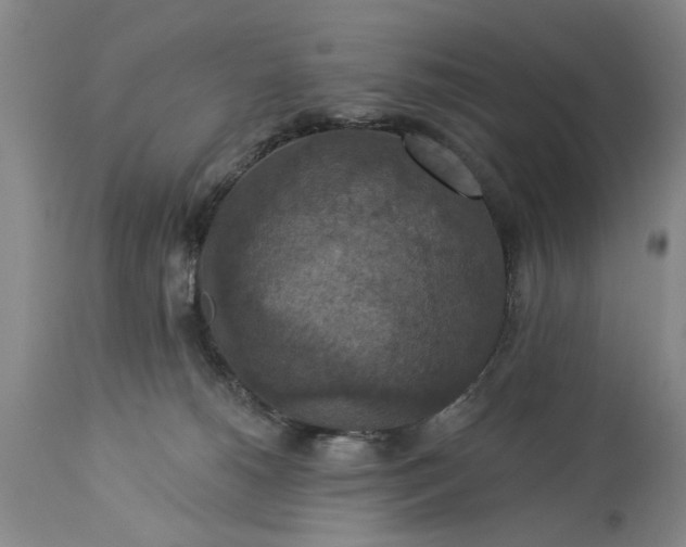 X0000113550180200910021539