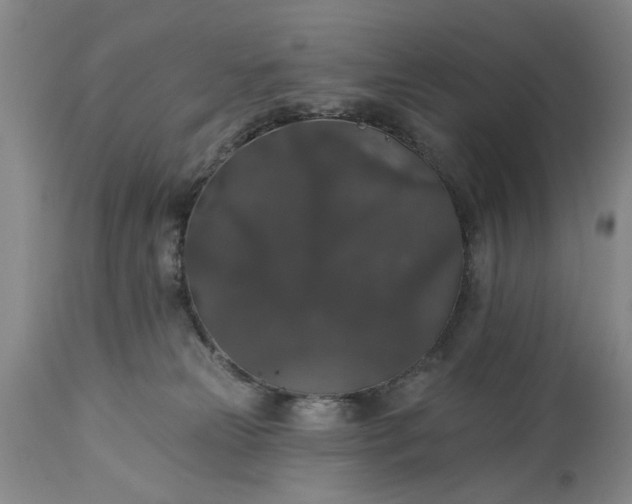 X0000113550181200910021539