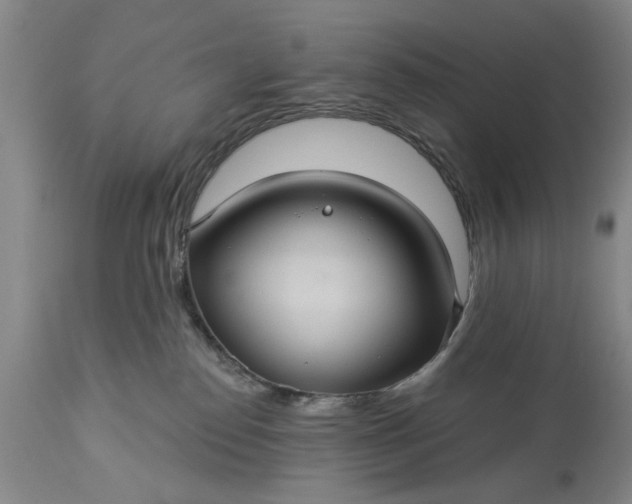 X0000113550186200910021539