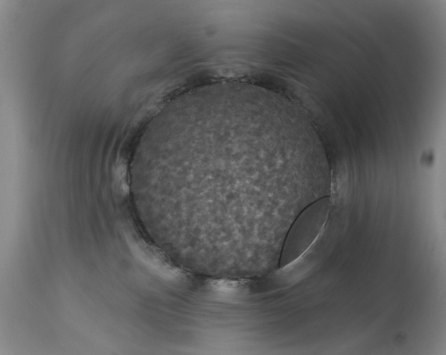 X0000113550187200910021539