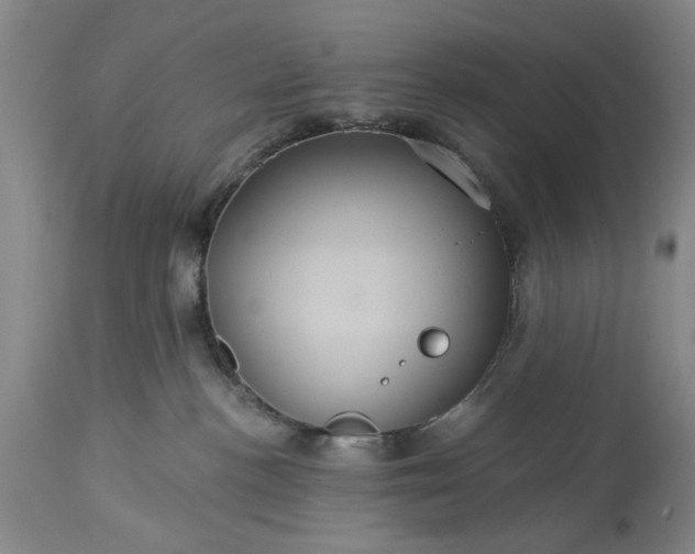 X0000113550188200910021539