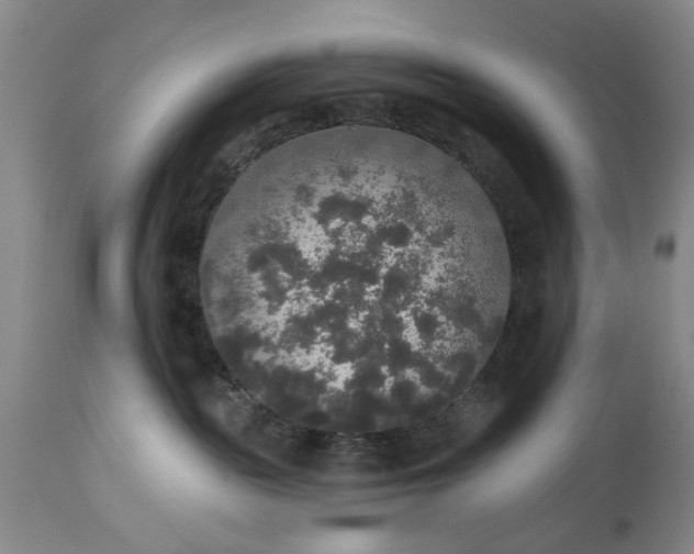 X0000113550189200910021539