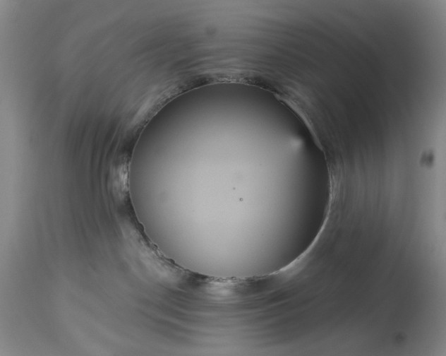 X0000113550190200910021539