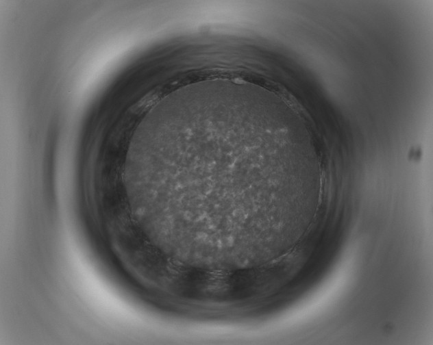 X0000113550191200910021539