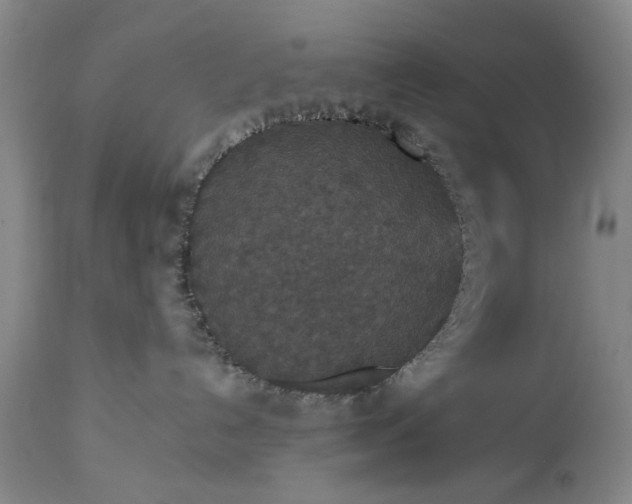 X0000113550192200910021539