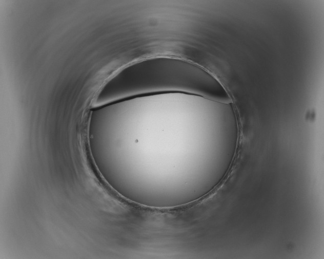 X0000113550193200910021538