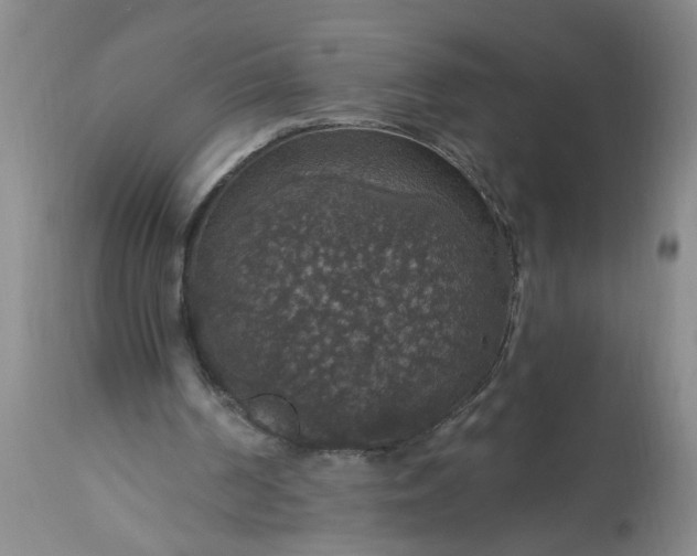 X0000113550194200910021538