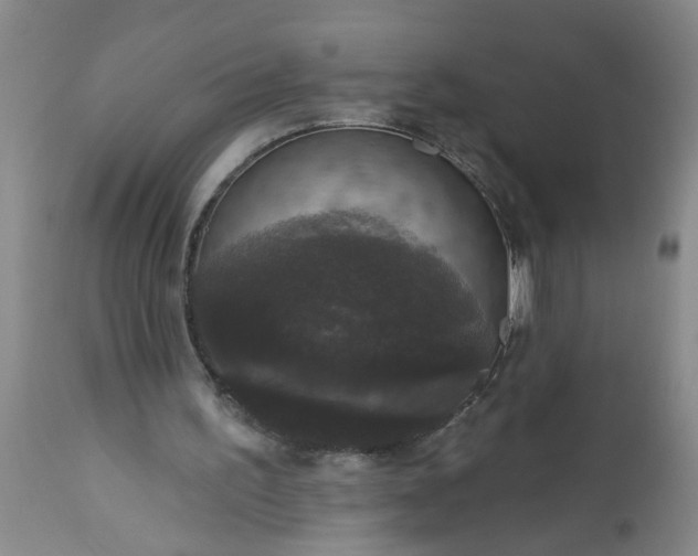 X0000113550195200910021538