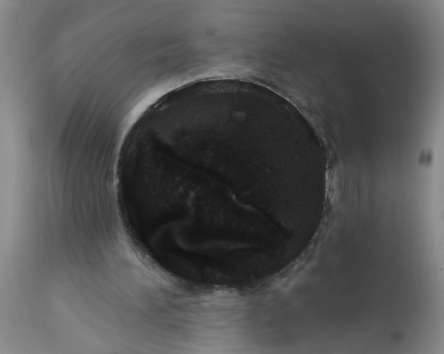 X0000113550196200910021538