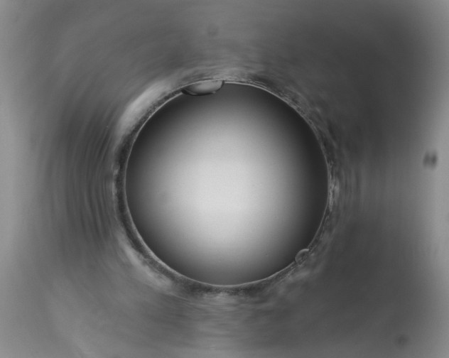 X0000113550197200910021538