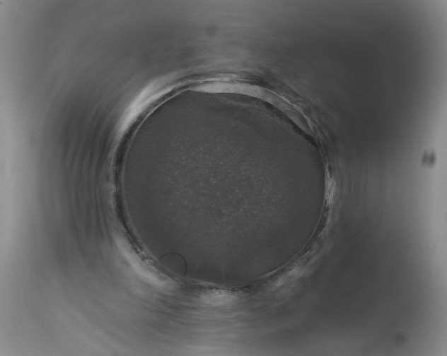 X0000113550198200910021538