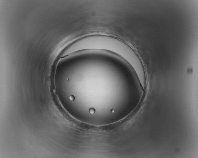 X0000113550199200910021538