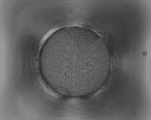 X0000113550200200910021538