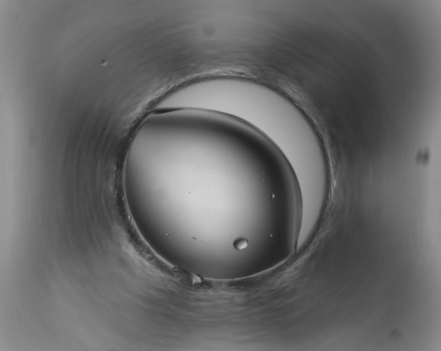 X0000113550201200910021538