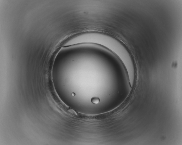 X0000113550203200910021538