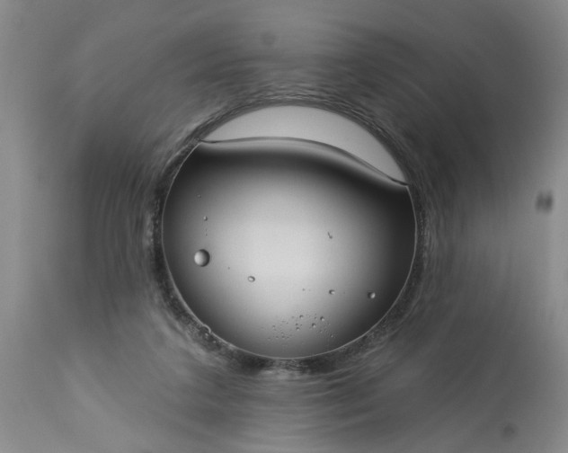 X0000113550211200910021538