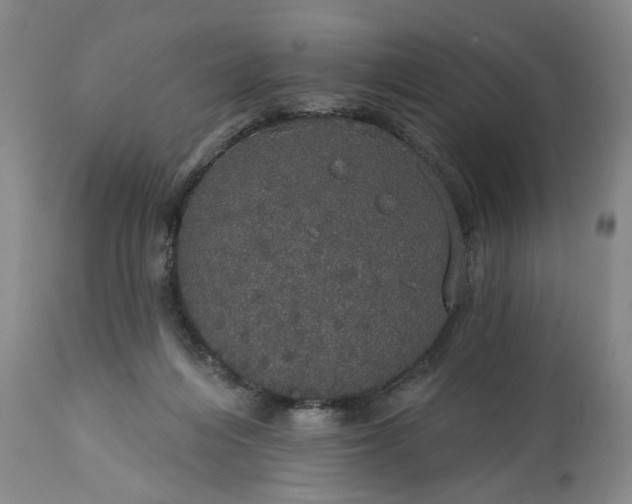 X0000113550216200910021538