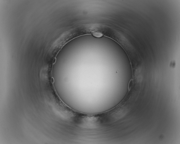 X0000113550217200910021538