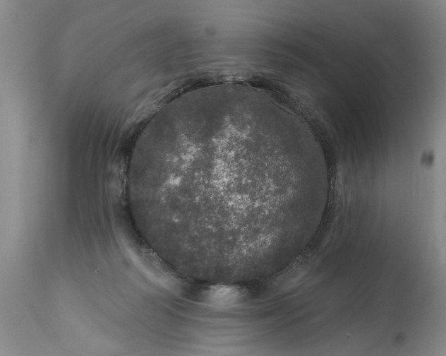 X0000113550218200910021538