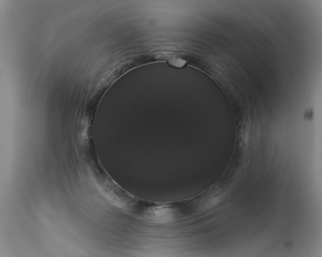 X0000113550219200910021538