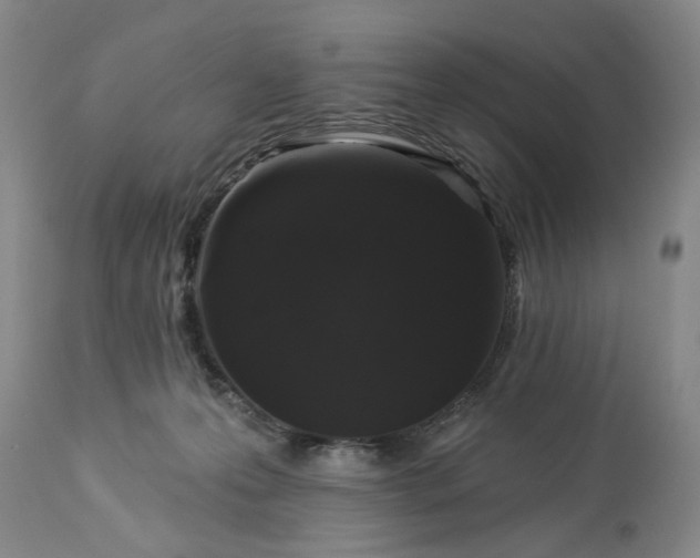 X0000113550223200910021538