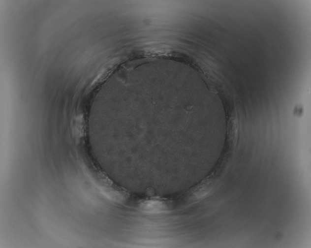 X0000113550224200910021538