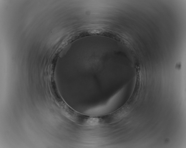 X0000113550227200910021538