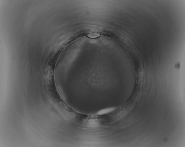 X0000113550228200910021538