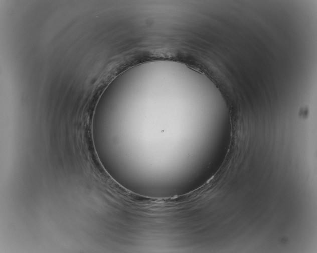 X0000113550229200910021538