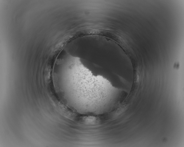 X0000113550230200910021538