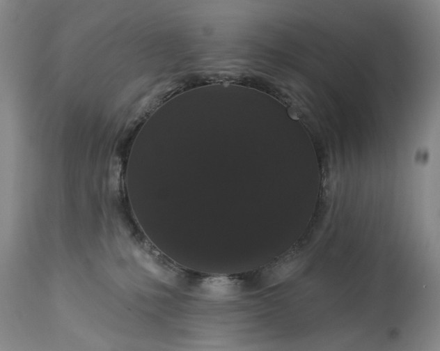 X0000113550231200910021538