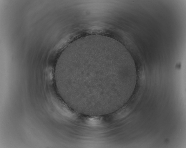 X0000113550232200910021538