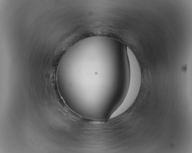 X0000113550233200910021538