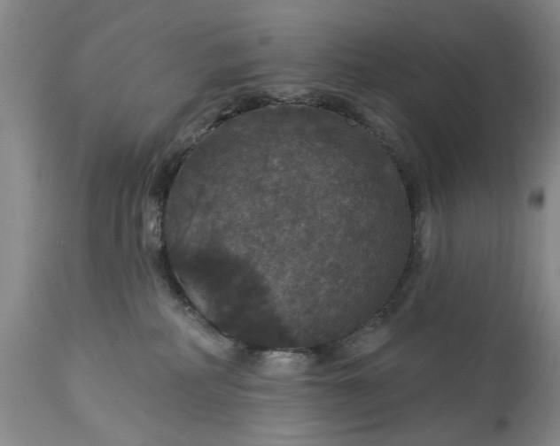 X0000113550234200910021538