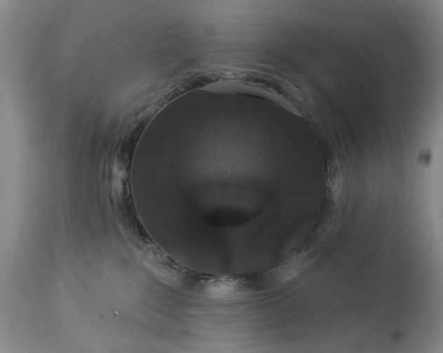 X0000113550235200910021538