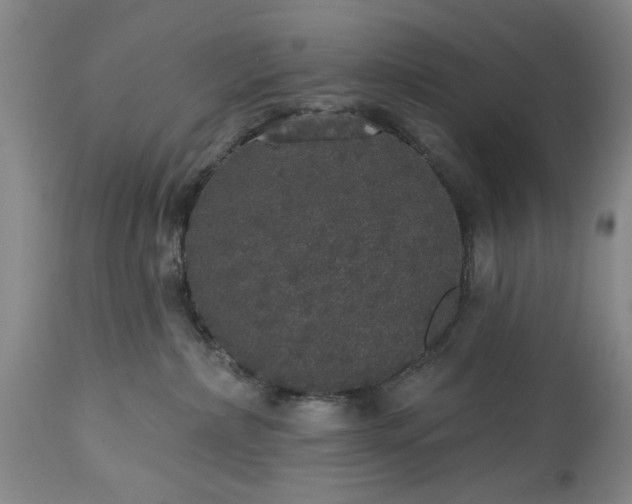 X0000113550236200910021538