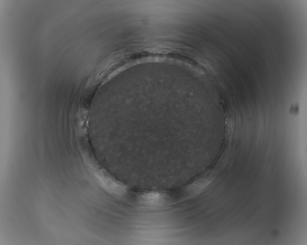 X0000113550237200910021538